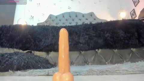 carolina online show from January 15, 2:12 pm