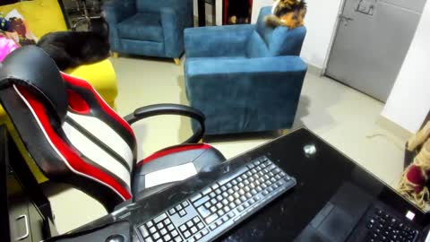 Snapshot of _emma_loyd_ chatting on February 7, 12:53 am Emma online show from February 7, 12:53 am
