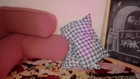 Gaia online show from February 14, 4:14 am