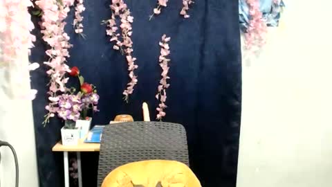 _shanexx online show from May 15, 12:41 pm
