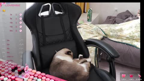 Alis online show from October 12, 12:51 pm