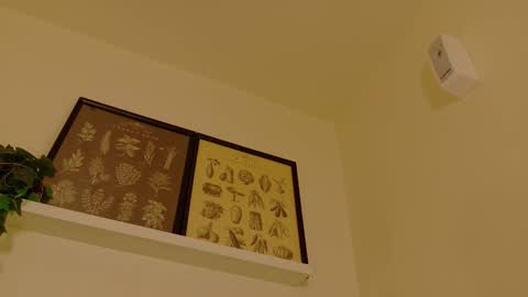 A B B Y online show from February 7, 11:58 am