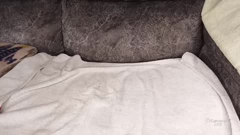 african_barbie2 online show from April 3, 9:46 pm