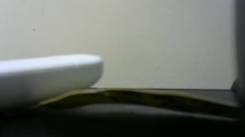 africanlovei online show from January 2, 6:01 pm