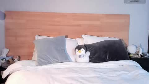     online show from February 9, 8:22 pm