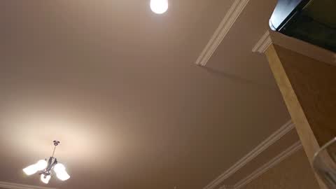 alejandradelaney online show from December 22, 3:33 pm
