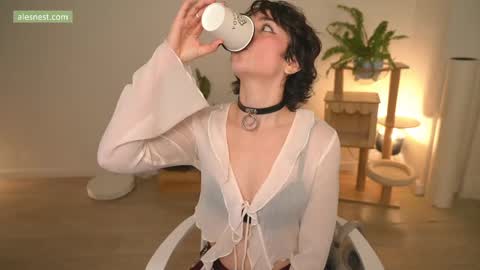 Ale online show from May 14, 12:27 am