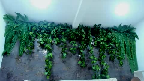 Alice online show from November 24, 5:04 pm