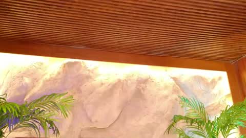 Alison Moon  online show from May 13, 11:21 pm