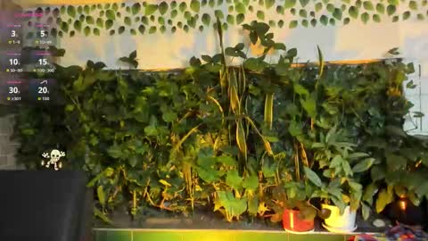 alissa_monroe_ online show from September 25, 11:09 am