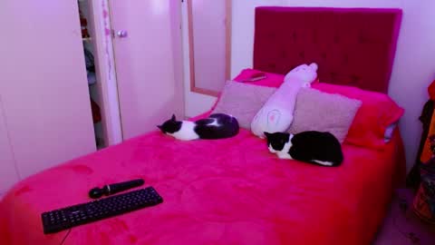 alissesallie_ online show from May 13, 11:27 am