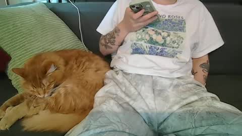 alliebearx online show from June 27, 10:16 pm