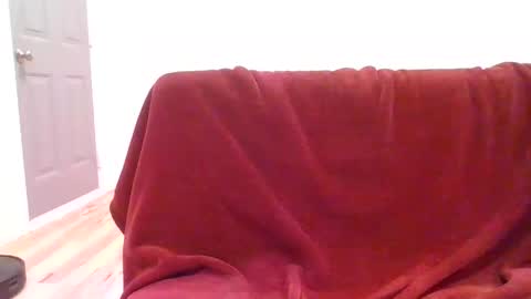 alliebearx online show from February 7, 4:37 am