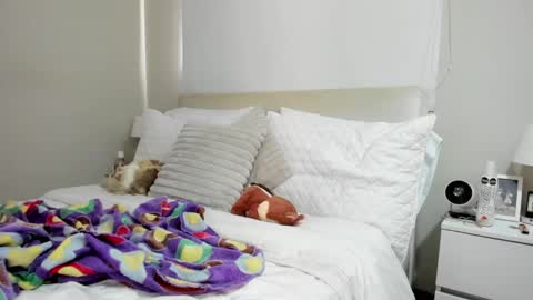 Katha online show from March 26, 5:58 pm