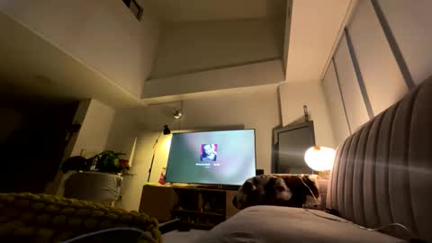  Ama  online show from May 23, 12:42 am