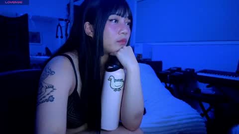 leash online show from May 1, 8:28 am