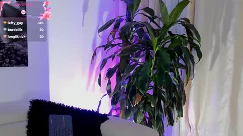 Amatista online show from October 10, 2:38 am