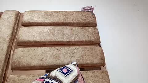 Luu online show from April 4, 7:51 am