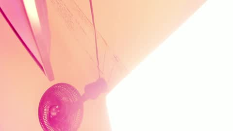 Amber online show from April 5, 2:49 pm