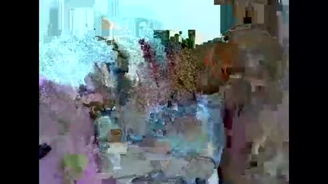 anny online show from February 9, 4:36 am
