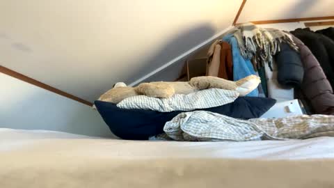 Angelica online show from November 7, 1:28 pm