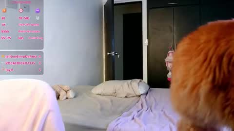 Ania online show from November 12, 10:08 pm