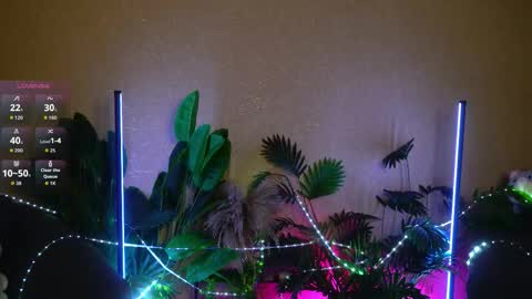 Anita online show from October 8, 5:56 am