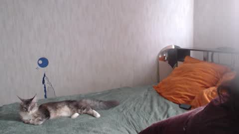 Nameless online show from March 8, 2:10 am