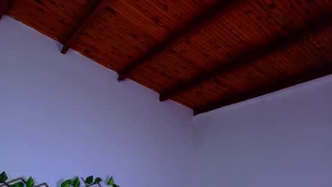 annie_barozzi online show from October 13, 1:25 pm