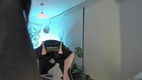 annie  online show from February 8, 2:04 am