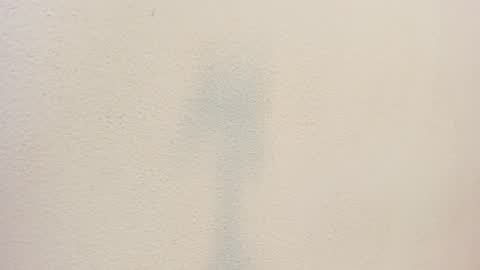 Snapshot of aome_purpuree chatting on October 25, 11:11 pm Aome online show from October 25, 11:11 pm