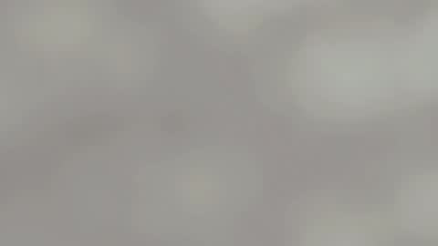 April online show from January 15, 4:57 am