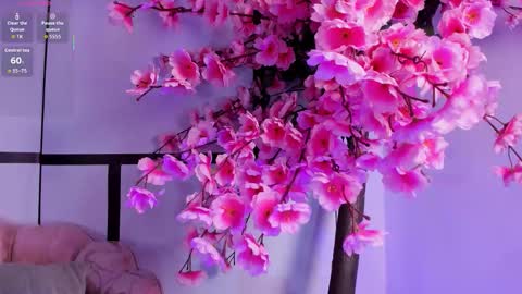 Aria Jones online show from February 28, 10:42 pm