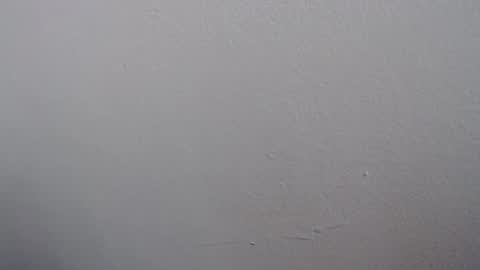 ariannaloovel online show from May 15, 6:43 pm