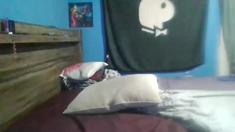 black-widow99 online show from November 12, 2:31 am