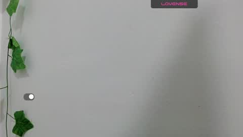 ashley online show from January 8, 10:59 am