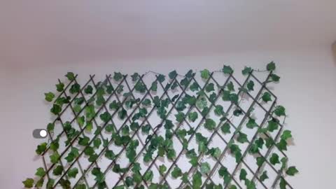 ashley online show from January 9, 11:25 am