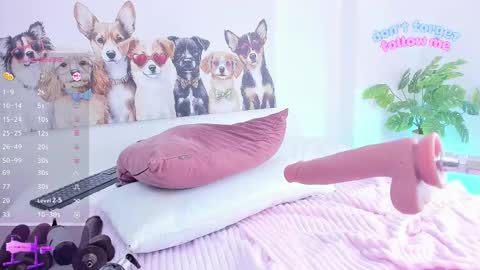 Ashley online show from November 11, 2:58 pm