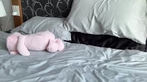 asiangirlandwhiteguy online show from July 6, 4:29 am