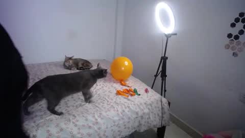 aura online show from November 1, 8:02 pm