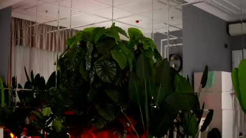 AvaReed online show from May 20, 3:58 am