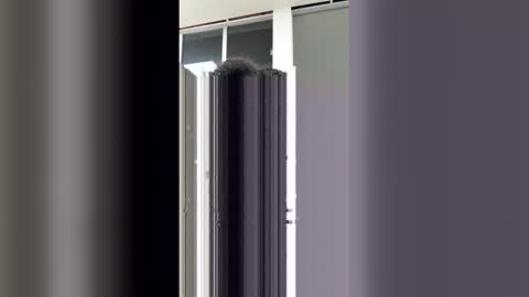 Ayleen online show from April 10, 8:04 pm