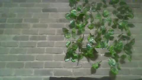 Chaterlain online show from March 5, 6:33 am