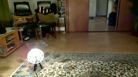 Raluca online show from May 19, 6:37 pm