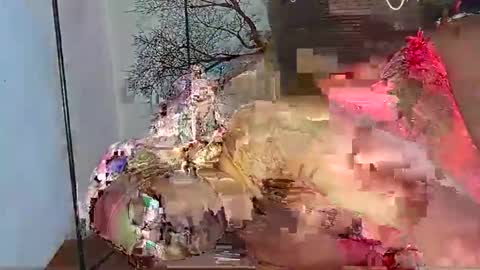 beencee2 online show from March 1, 11:15 pm