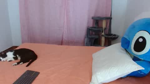 bella_gentle online show from May 14, 9:59 am