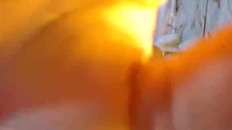 bellafox online show from May 9, 6:43 pm