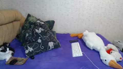 bestbestt885 online show from February 14, 10:58 pm