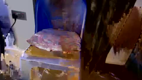 bella online show from April 5, 7:24 pm