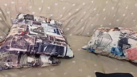 Kira online show from February 27, 3:01 pm